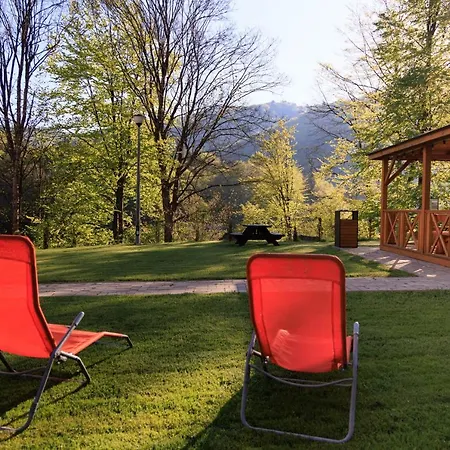 Irena Affittacamere 3*